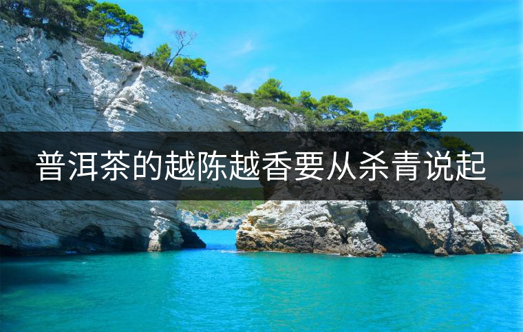 普洱茶的越陳越香要從殺青說(shuō)起 普洱茶的越陳越香要從殺青說(shuō)起