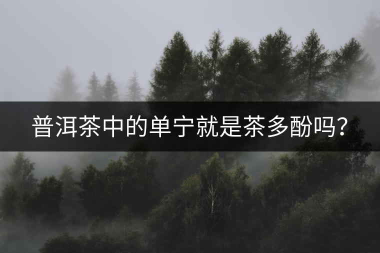 普洱茶中的單寧就是茶多酚嗎? 普洱茶中的單寧就是茶多酚嗎?
