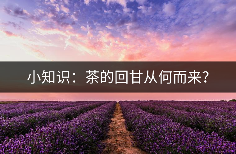 小知識(shí)：茶的回甘從何而來(lái)？