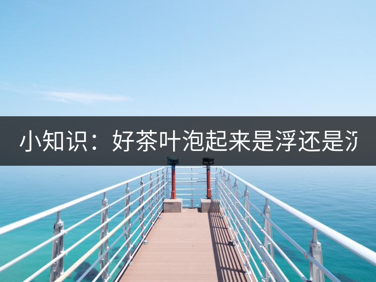 小知識(shí)：好茶葉泡起來(lái)是浮還是沉？