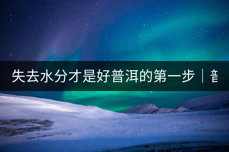 失去水分才是好普洱的第一步|普洱三分鐘30 失去水分才是好普洱的第一步|普洱三分鐘30