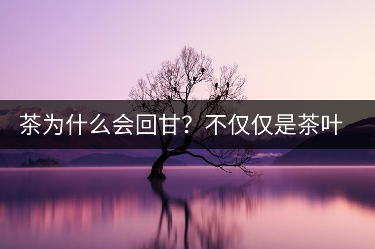 茶為什么會(huì)回甘?不僅僅是茶葉中含糖那么簡(jiǎn)單 茶為什么會(huì)回甘?不僅僅是茶葉中含糖那么簡(jiǎn)單