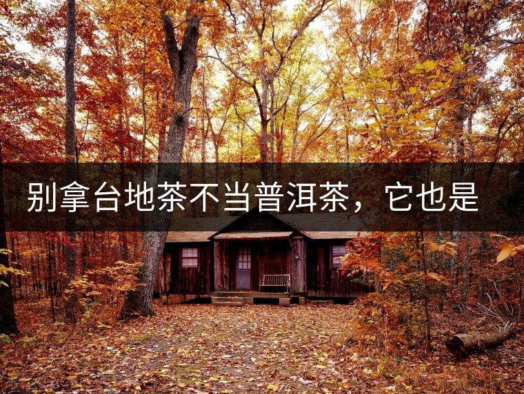 別拿臺(tái)地茶不當(dāng)普洱茶，它也是大葉種喬木