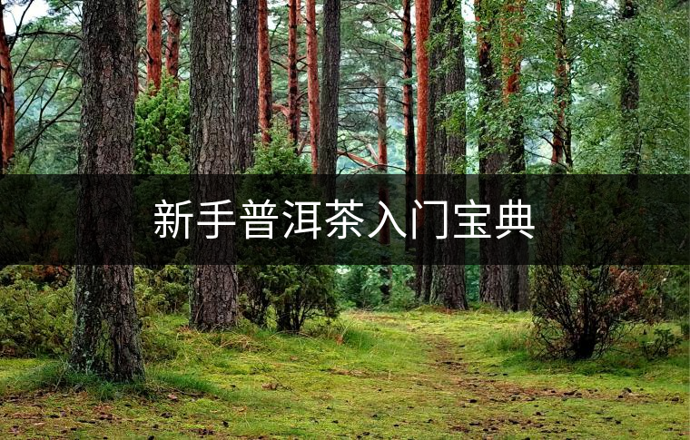新手普洱茶入門(mén)寶典 新手普洱茶入門(mén)寶典