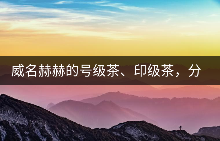 威名赫赫的號(hào)級(jí)茶、印級(jí)茶，分別是些什么普洱茶？