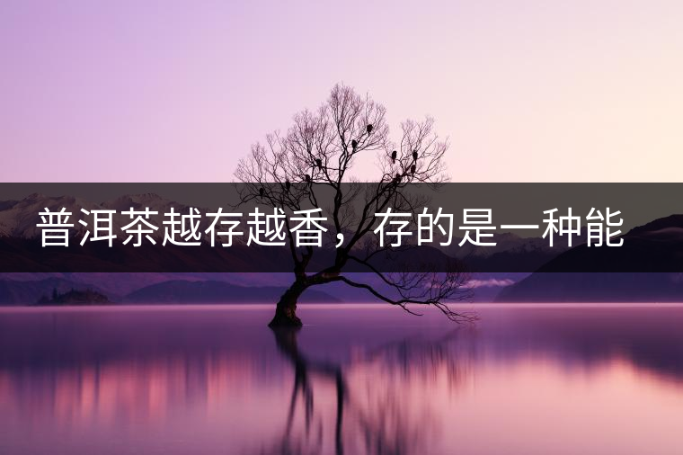 普洱茶越存越香，存的是一種能量