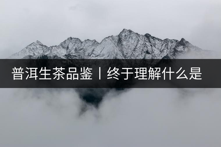 普洱生茶品鑒丨終于理解什么是“醇厚、耐泡，回甘”了
