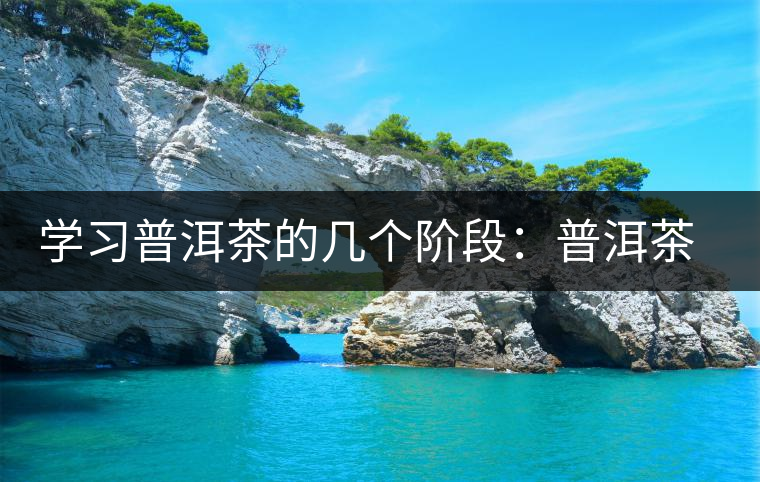 學(xué)習(xí)普洱茶的幾個(gè)階段：普洱茶愛好者進(jìn)階過程