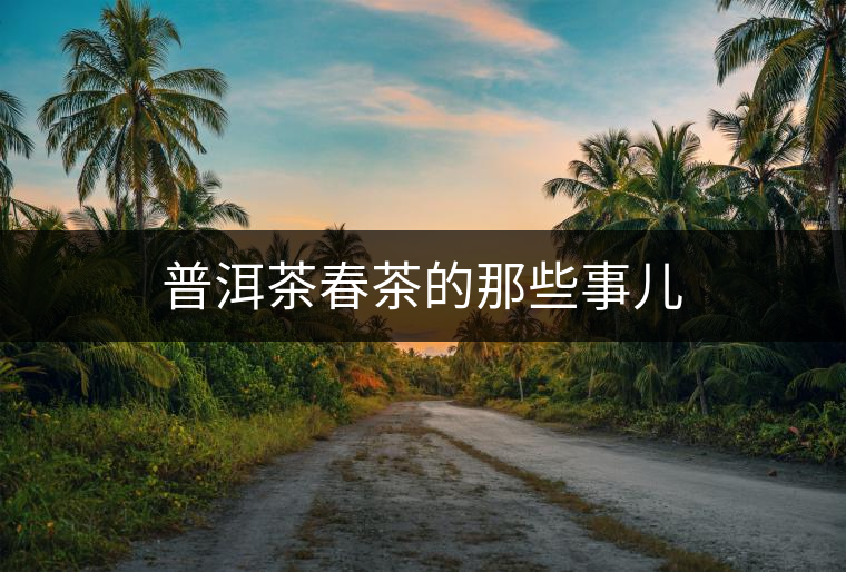 普洱茶春茶的那些事兒 普洱茶春茶的那些事兒
