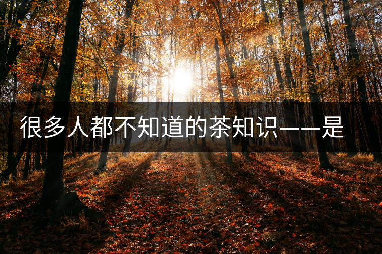 很多人都不知道的茶知識——是什么造就了普洱茶的一山一味？