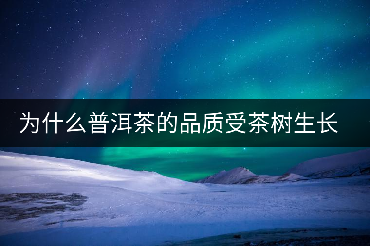 為什么普洱茶的品質(zhì)受茶樹生長環(huán)境的影響? 為什么普洱茶的品質(zhì)受茶樹生長環(huán)境的影響?