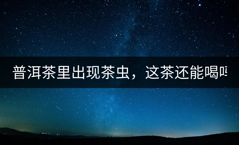 普洱茶里出現(xiàn)茶蟲，這茶還能喝嗎？