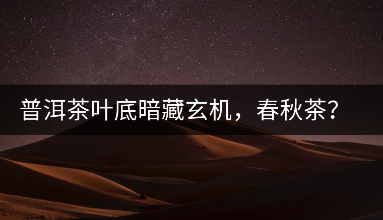 普洱茶葉底暗藏玄機(jī)，春秋茶？大樹茶？野生茶？班章料？你讀懂了嗎？