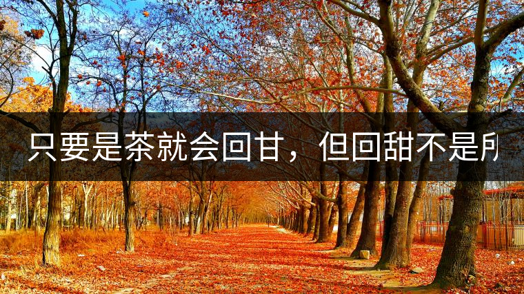 只要是茶就會(huì)回甘，但回甜不是所有茶都有！