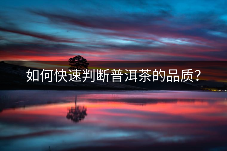 如何快速判斷普洱茶的品質(zhì)？