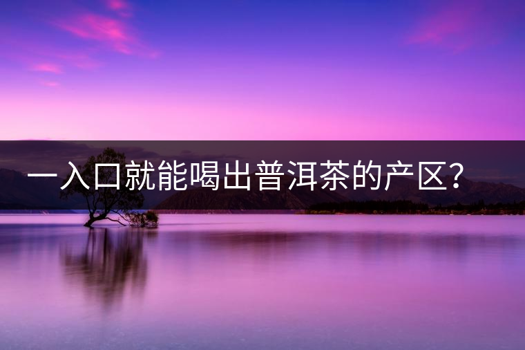 一入口就能喝出普洱茶的產(chǎn)區(qū)？怎么能不讀這篇文章呢？