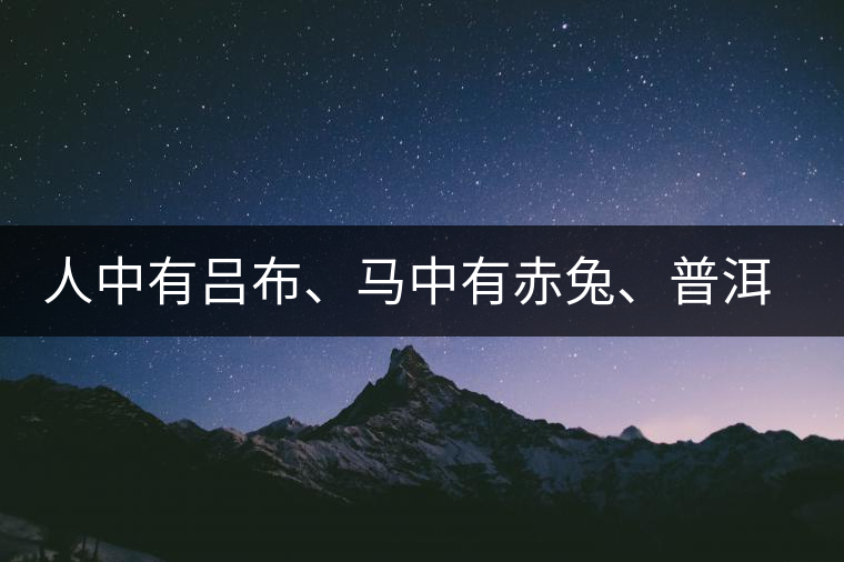 人中有呂布、馬中有赤兔、普洱中有茶化石：碎銀子！