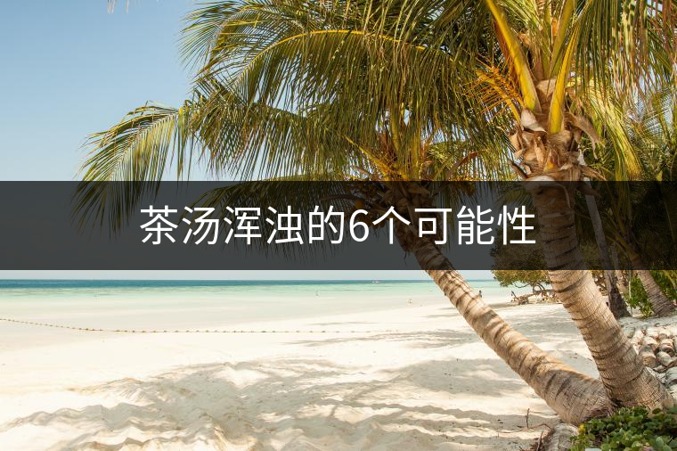 茶湯渾濁的6個可能性