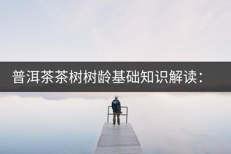 普洱茶茶樹樹齡基礎(chǔ)知識解讀：多大樹齡的茶才算古樹茶？