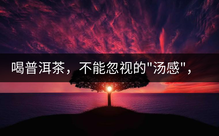 喝普洱茶，不能忽視的