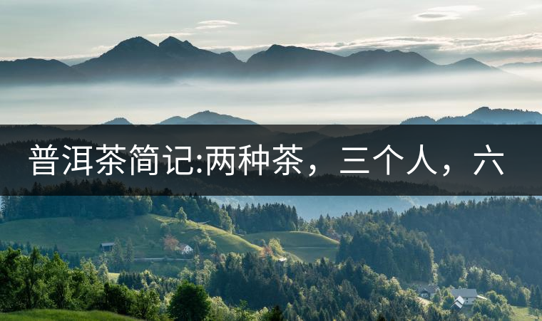 普洱茶簡記:兩種茶，三個人，六座山，七塊餅