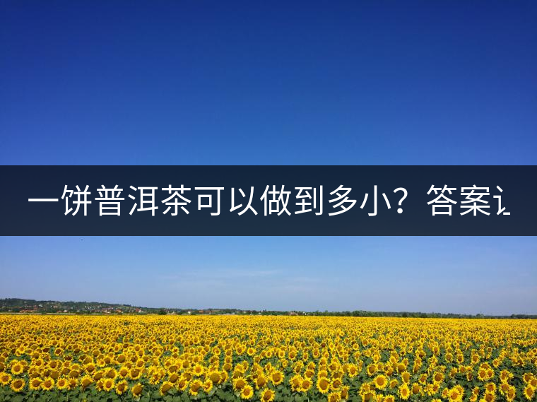 一餅普洱茶可以做到多??？答案讓人意想不到...