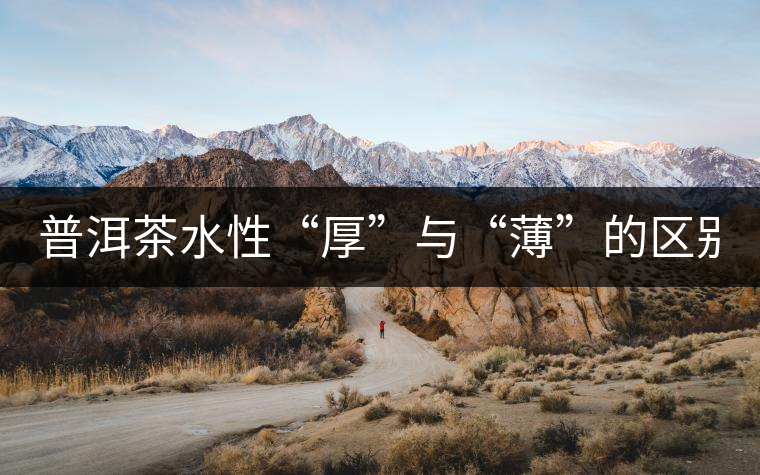 普洱茶水性“厚”與“薄”的區(qū)別！