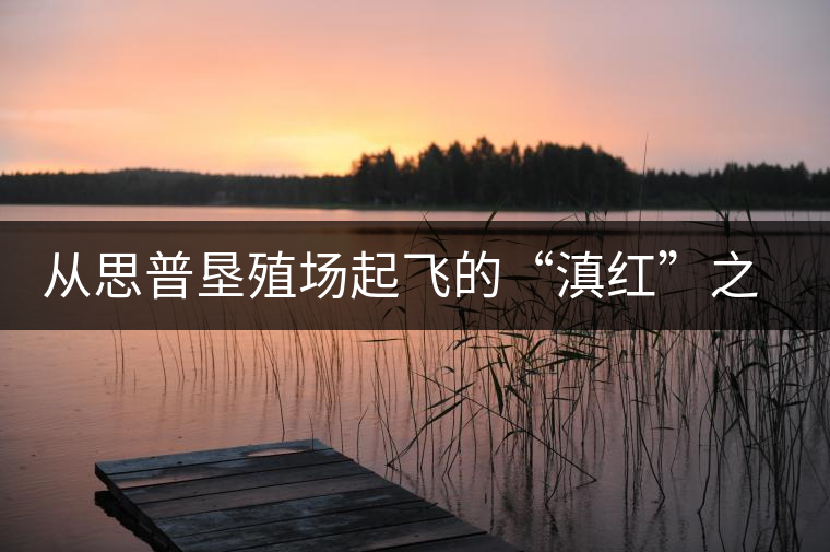 從思普墾殖場(chǎng)起飛的“滇紅”之路 從思普墾殖場(chǎng)起飛的“滇紅”之路
