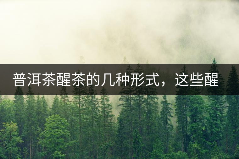 普洱茶醒茶的幾種形式，這些醒茶方法你都會(huì)了嗎？