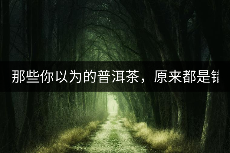 那些你以為的普洱茶，原來都是錯的！