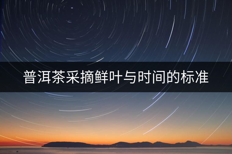 普洱茶采摘鮮葉與時間的標準