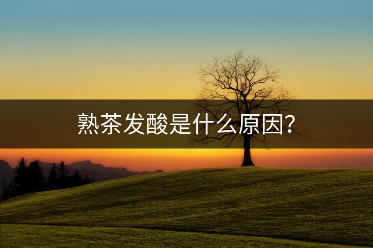 熟茶發(fā)酸是什么原因？