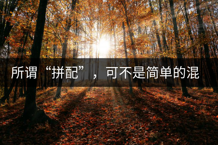 所謂“拼配”，可不是簡(jiǎn)單的混搭