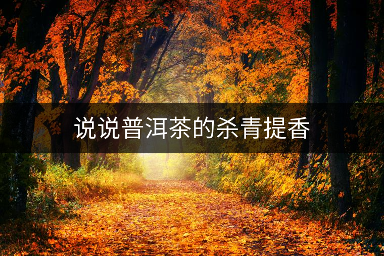 說說普洱茶的殺青提香 說說普洱茶的殺青提香