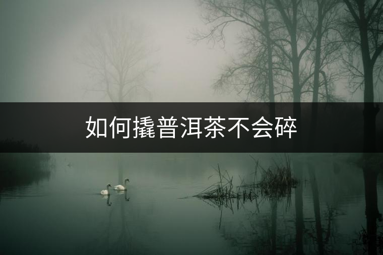 如何撬普洱茶不會碎