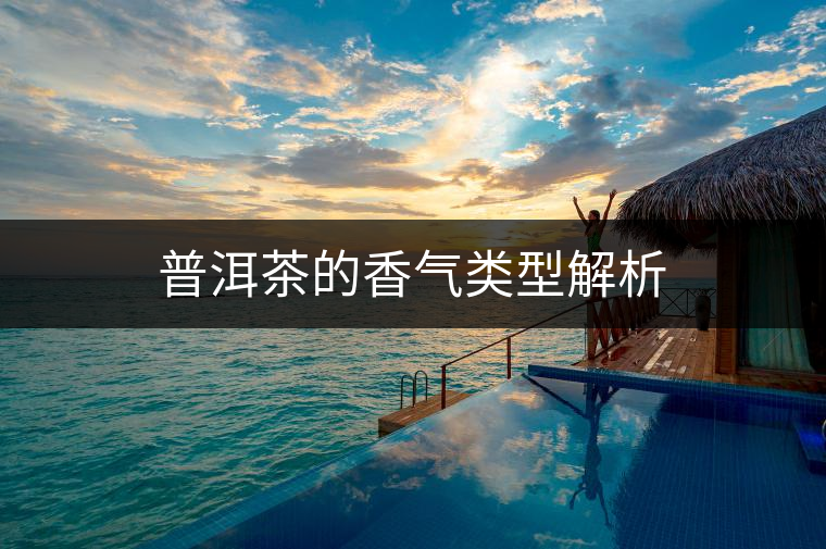 普洱茶的香氣類型解析 普洱茶的香氣類型解析