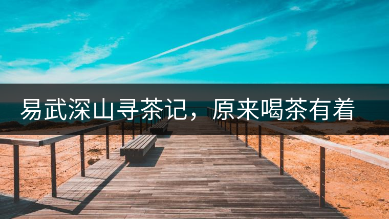 易武深山尋茶記，原來喝茶有著這么多誤區(qū)