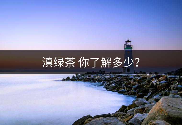 滇綠茶 你了解多少？