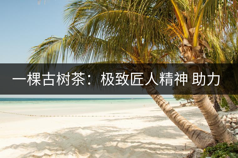 一棵古樹(shù)茶:極致匠人精神 助力云南普洱產(chǎn)業(yè)新發(fā)展 一棵古樹(shù)茶:極致匠人精神 助力云南普洱產(chǎn)業(yè)新發(fā)展
