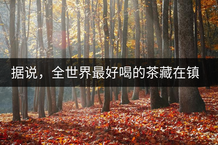 據(jù)說(shuō)，全世界最好喝的茶藏在鎮(zhèn)沅
