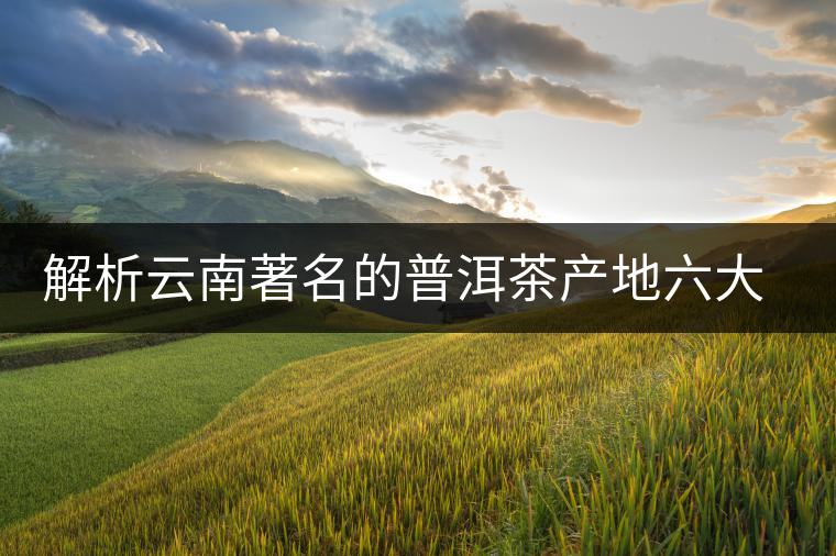 解析云南著名的普洱茶產(chǎn)地六大茶山 解析云南著名的普洱茶產(chǎn)地六大茶山