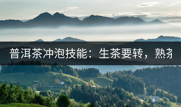 普洱茶沖泡技能：生茶要轉(zhuǎn)，熟茶要柔！