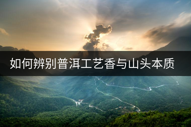 如何辨別普洱工藝香與山頭本質(zhì)香 如何辨別普洱工藝香與山頭本質(zhì)香