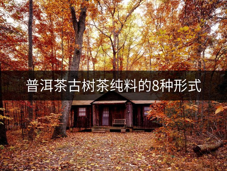 普洱茶古樹(shù)茶純料的8種形式