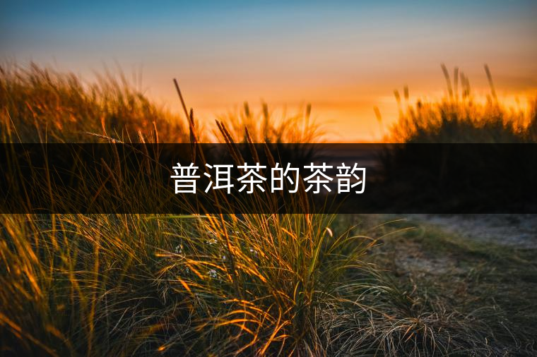 普洱茶的茶韻