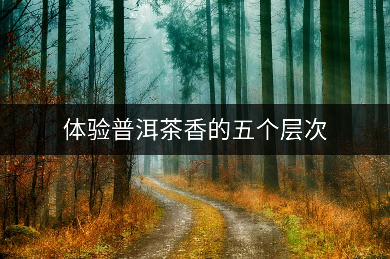 體驗(yàn)普洱茶香的五個(gè)層次 體驗(yàn)普洱茶香的五個(gè)層次