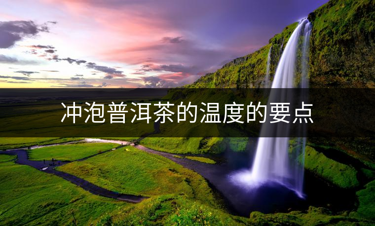 沖泡普洱茶的溫度的要點 沖泡普洱茶的溫度的要點