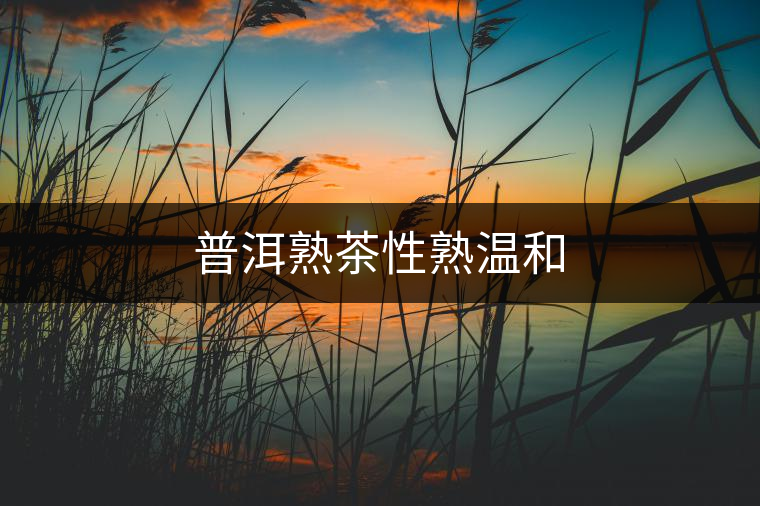普洱熟茶性熟溫和 普洱熟茶性熟溫和