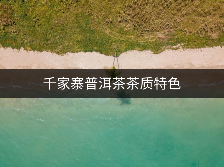千家寨普洱茶茶質(zhì)特色