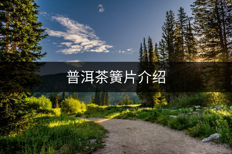 普洱茶簧片介紹 普洱茶簧片介紹